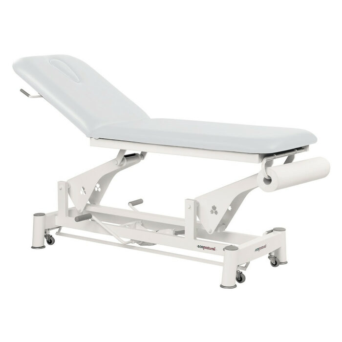 table de massage électrique 2 plans C5733 blanc