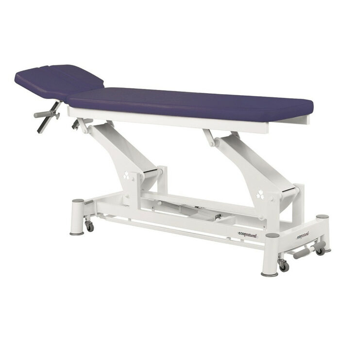 table de massage électrique écopostural prune