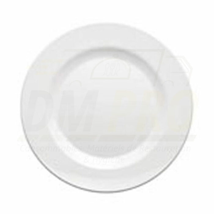 Assiette plate melamine blanche réutilisable L