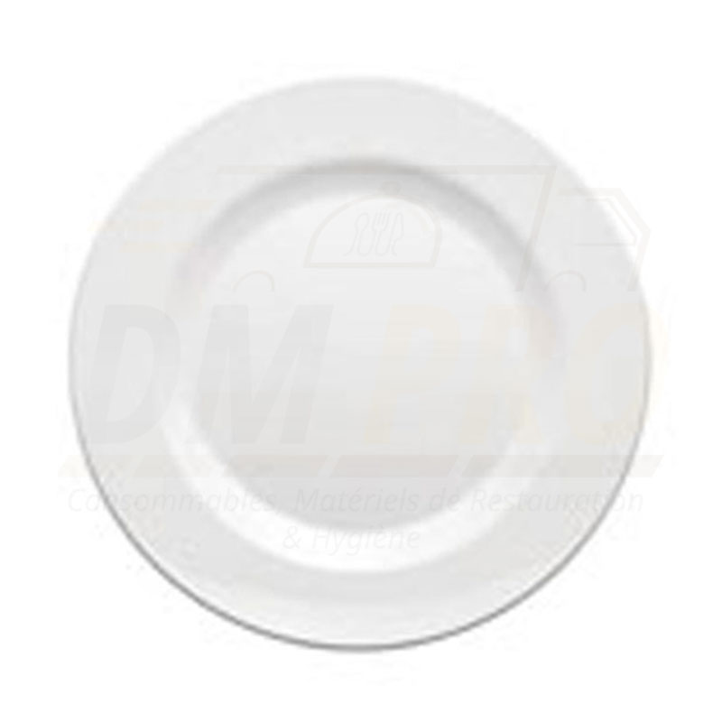 Assiette plate melamine blanche réutilisable L