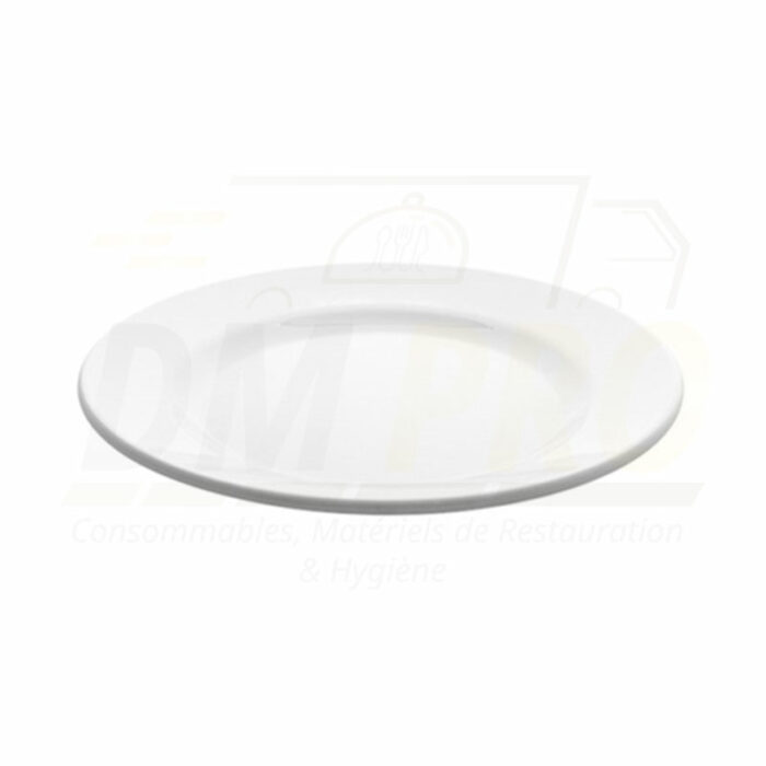 Assiette plate melamine blanche réutilisable L Profil