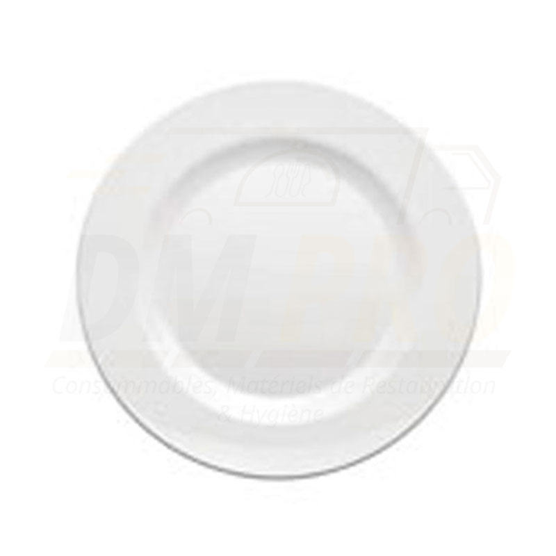 Assiette plate melamine blanche réutilisable M