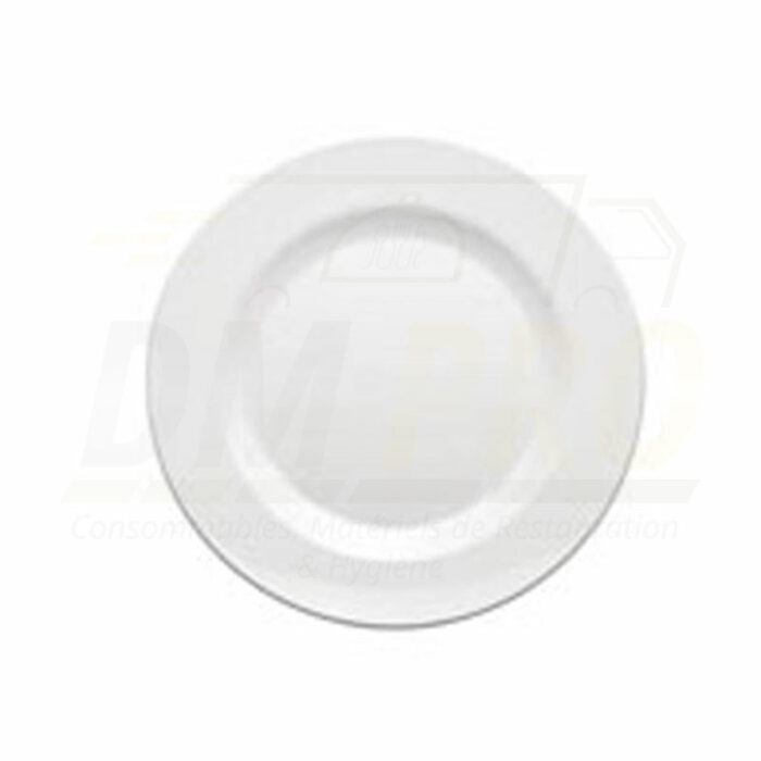 Assiette plate melamine blanche réutilisable