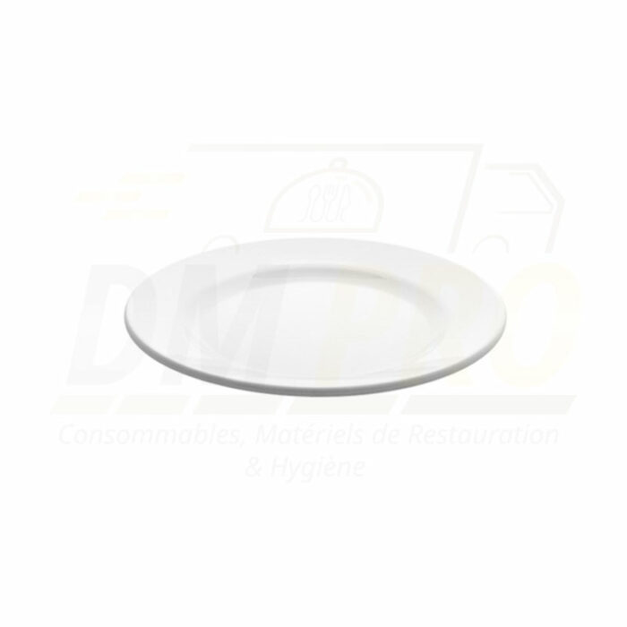 Assiette plate mélamine blanche réutilisable profil